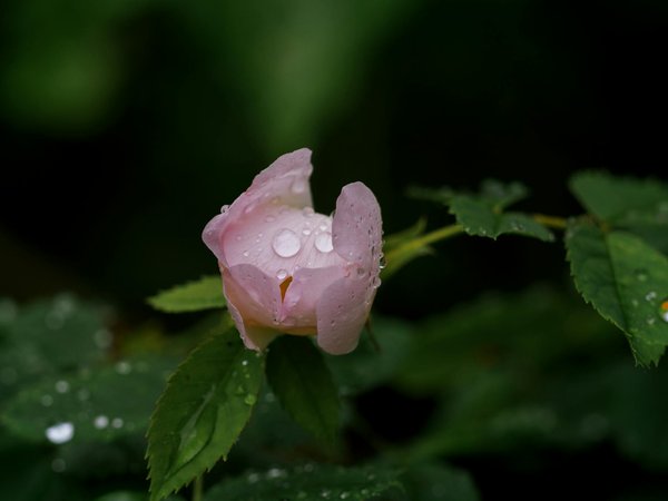 Lookbook de déco ethnique : Inspiration et idées