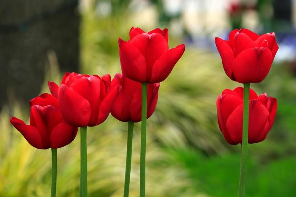 Promotions sur les pellets : des offres à ne pas manquer !